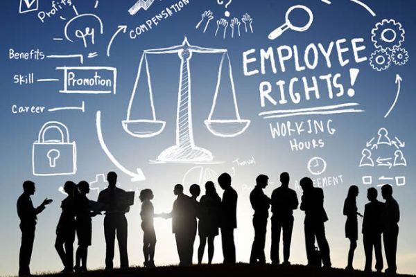 Employment and Labour Law